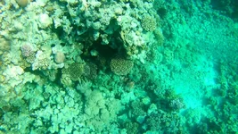 20161203_145833-0-00-15-971.jpg
