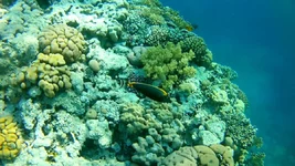 20161203_150532-0-01-22-502.jpg