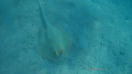 FHD0127.jpg
