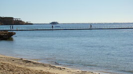 DSC03940.jpg