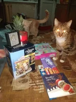 _viber_2019-12-17_21-05-57.webp