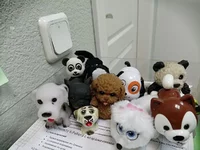photo_2019-12-19_09-41-59.webp