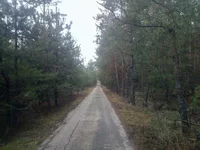 IMG_20191221_151554+.jpg