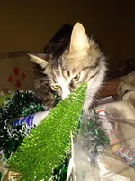 IMG_20191223_172747.webp