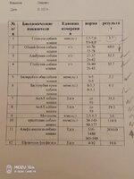 Ж.АлисаАнализБиохимия 21.12.19гP91225-160706.jpg