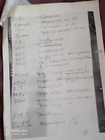 .АнализыРасшифровка 2.P91225-144826.webp