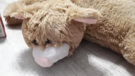 20191226_151357.webp
