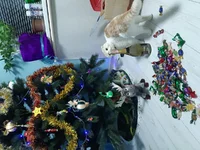 20191226_180651.webp