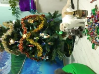 20191226_183041.jpg