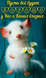 IMG-07f2e033ef52dc4dba5f7f505c8fee80-V.webp