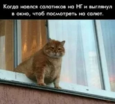 image.jpeg