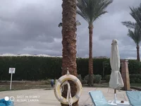 1578649193437..jpg