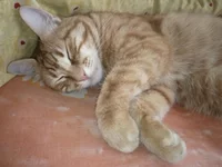 viber image 2019-04-05 , 13.27.03.webp