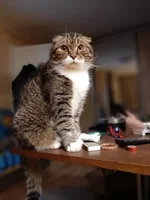 20191230_221048.webp