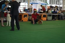 IMG_4860.webp