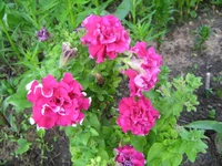 IMG_1717.webp