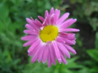 IMG_1747.webp