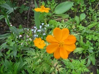 IMG_1748.webp