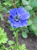 IMG_1896.webp