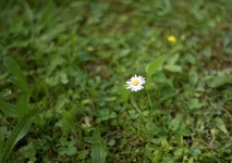 IMG_1331 2.webp