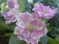 DSC02045.webp