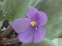 DSC02046.webp