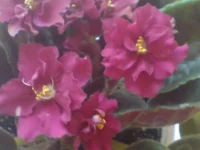 DSC02047.webp