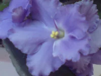 DSC02050.webp