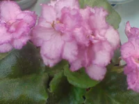 DSC02054.webp