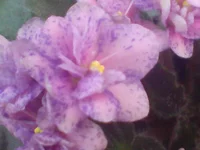 DSC02060.webp