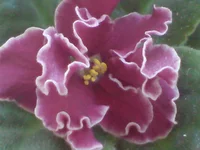 DSC02063.webp