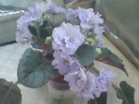 DSC02065.webp