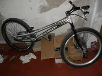 SDC10357.webp