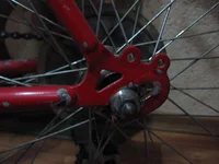  555009.webp