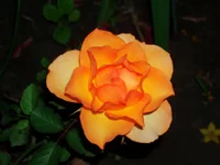 28.05.2010г 013.webp
