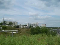 25328715.webp