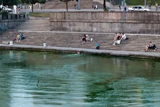 DSC09515.webp