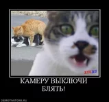 461907_kameru-vyiklyuchi-blyat.webp