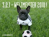 Bobrowsky_WM2010.webp