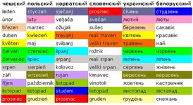 mesytsy.webp