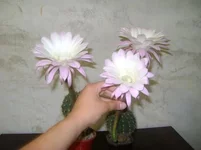 DSC01311_.webp
