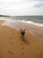 IMG_3937.webp