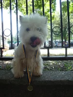DSC04904.webp