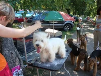 DSC04882.webp