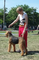  010.webp