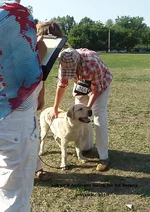  Изображение 120.webp