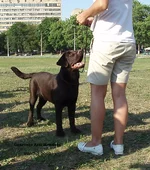  Изображение 126.webp