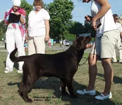  Изображение 137.webp