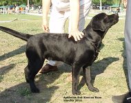 Копия Изображение 143.jpg