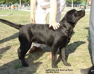  Изображение 143.webp